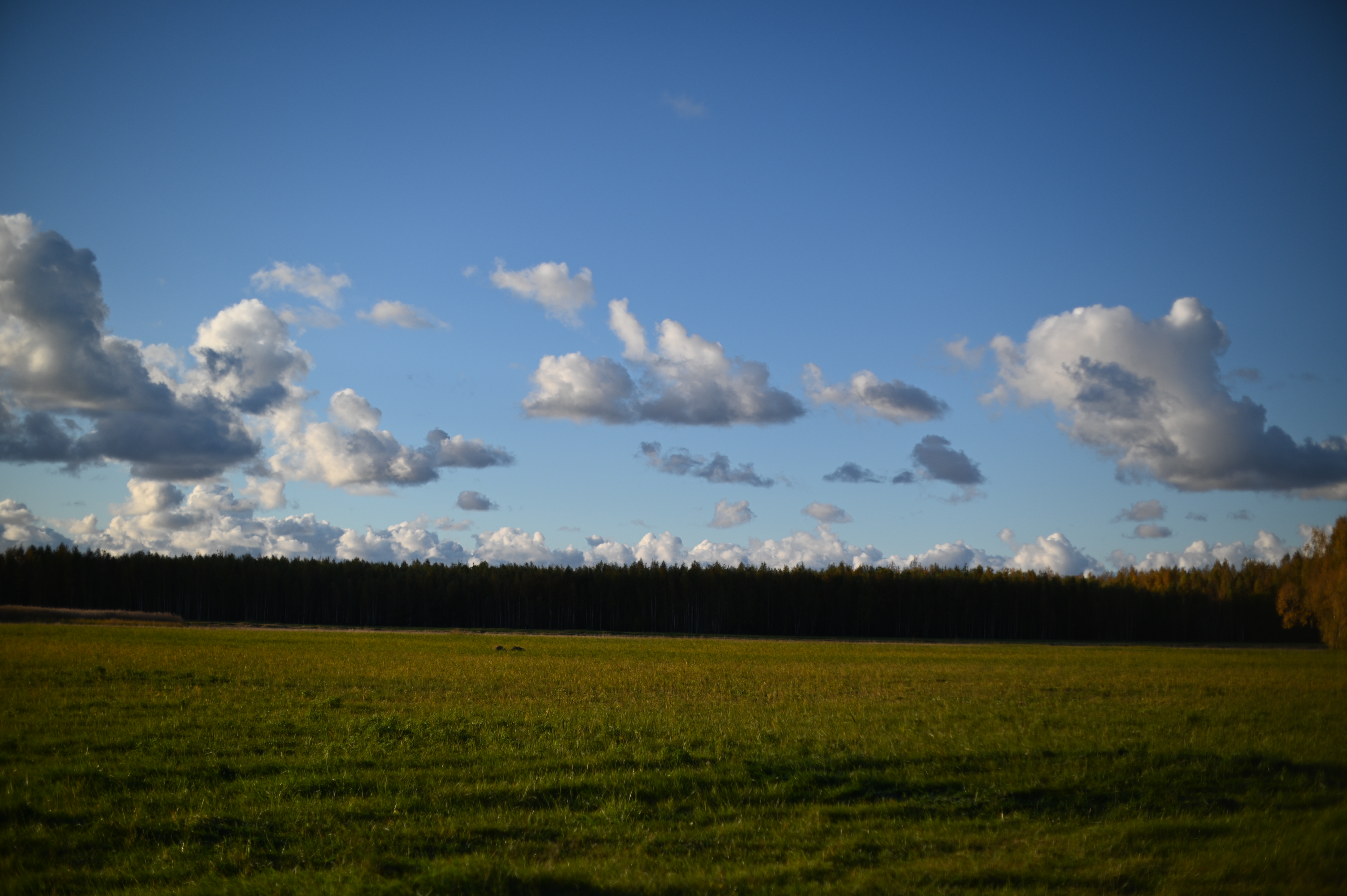 2025/10/18 - walk/DSC_0168.JPG